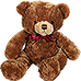 HDN-bear.png