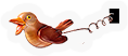 HDN-cuckoo.png