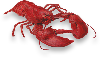 Lobster