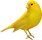 Canary