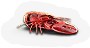 Lobster