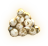 Turtle Eggs