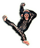 Chimpanzee