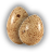 Bird Eggs