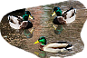 PRE-bread-feedDucks+complete