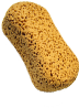 Sponge