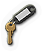 Purser's Safe Key