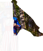 PRE-samsFlag-giveFlag+flagged