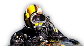 Diver