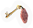 Captain's Cabin Key