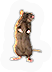 Rat