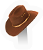 HDN-stetson.png