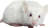 HDN-mouse.png