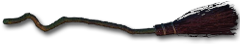 Witch's broom