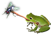 HDN-fly.png