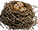 HDN-birds_nest.png