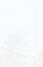 PRE-flag-raiseFlag+flagRaised