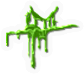 Algae