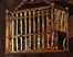 PRE-canary-cageCanary+canaryCaged