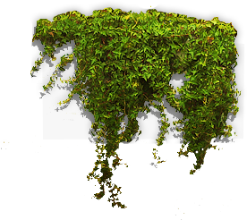 PRE-shears-map+ivy.png