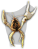 HDN-crayfish.png