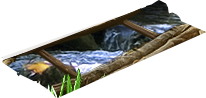 PRE-logs-bridge+hole.png