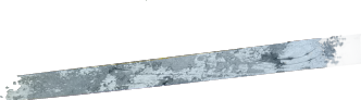 PRE-paintBrush-beam+white.png