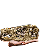 PRE-brush-cleanFossil+fossilCleaned2.png