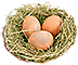 -HDN-bird_box-bird_eggs.png