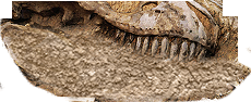 PRE-trowel-revealJaw+revealed.png