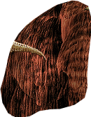 PRE-mammothTusk-fixMammoth+complete.png