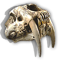 HDN-new_found_fossil.png
