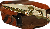 PRE-jawbone-repairSkeleton+done1.png