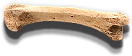 HDN-dinosaur_bone.png