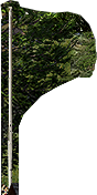 PRE-USflag-raiseFlag+flagRaised.png