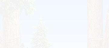 PRE-banner-bannerPlaced+bannerComplete.png