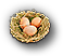 -HDN-birdbox-eggs.png