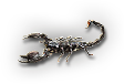 HDN-scorpion.png