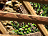 PRE-NE-lettersPlaced+complete.png