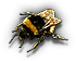 -HDN-hive-queen.png