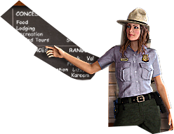 PRE-pointer-givePointer+complete.png