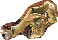 PRE-glue-useGlue+glueUsed.png