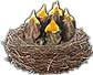-HDN-birdBox-chicks.png