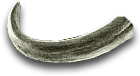 -HDN-dirt-buried_tusk.png