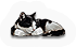 HDN-sleeping_cat.png