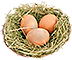 -HDN-bird_box-bird_eggs.png
