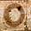 PRE-lifeRing-replaceLifebuoy+ringReplaced.png