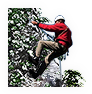 PRE-carabiners-giveClimber+done.png