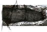 PRE-step-fixSteps+addStep.png
