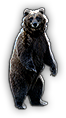 HDN-bear.png